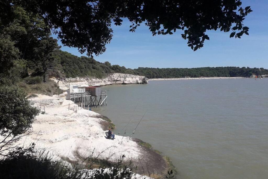 Maison Au Coeur De Meschers - Proche Des Plages Buitenkant foto