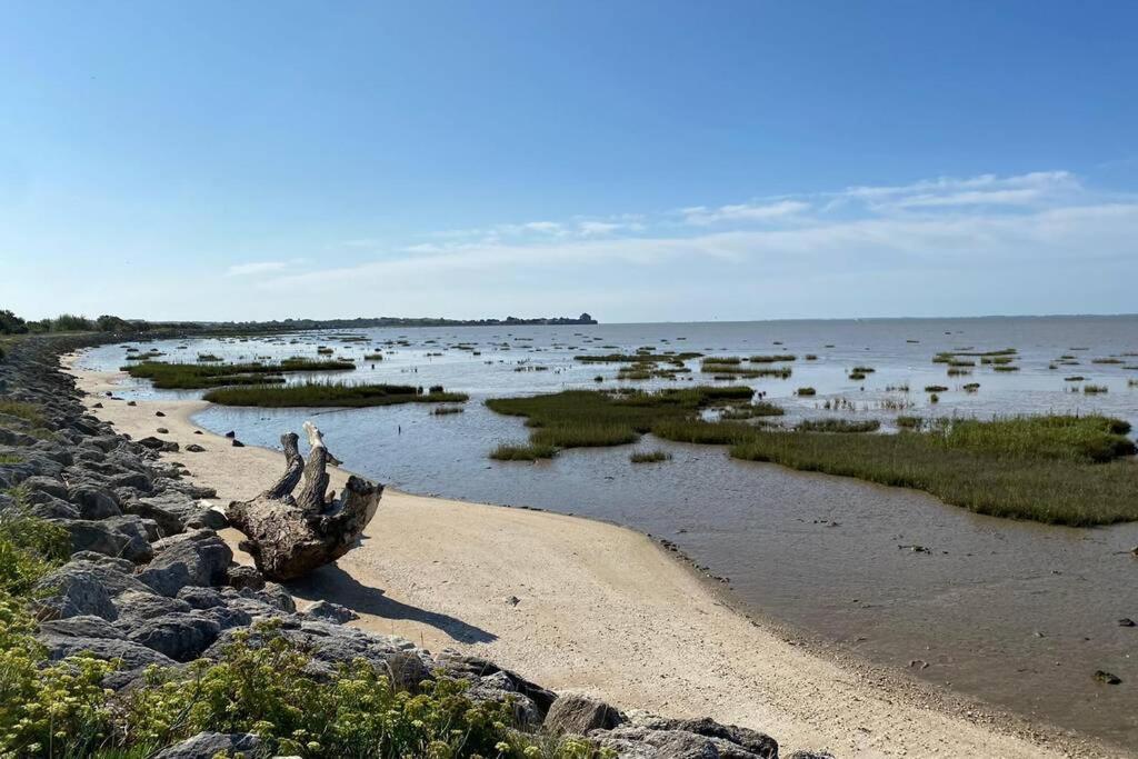 Maison Au Coeur De Meschers - Proche Des Plages Buitenkant foto